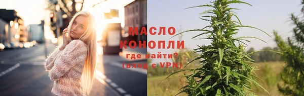 гидра Верхний Тагил