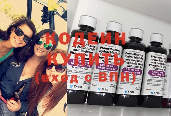гидра Верхний Тагил