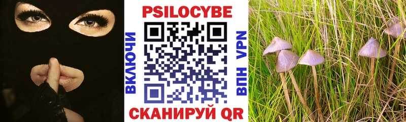Псилоцибиновые грибы ЛСД Жигулёвск